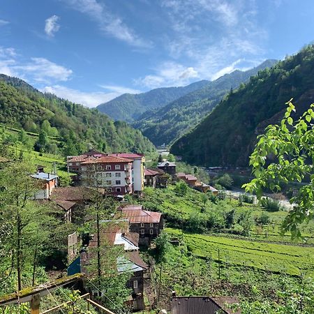 Koloni Apart Aparthotel Çamlıhemşin Exterior foto